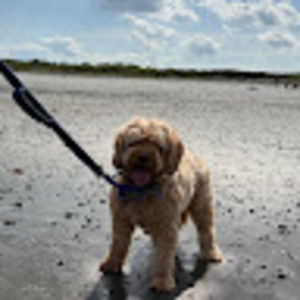 Meet your Posher, Max